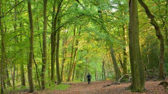 “WE CARE FOR OUR PLANET” – VACENTURES - dieweltkarte.de Umweltschutz-DIE WELTKARTE