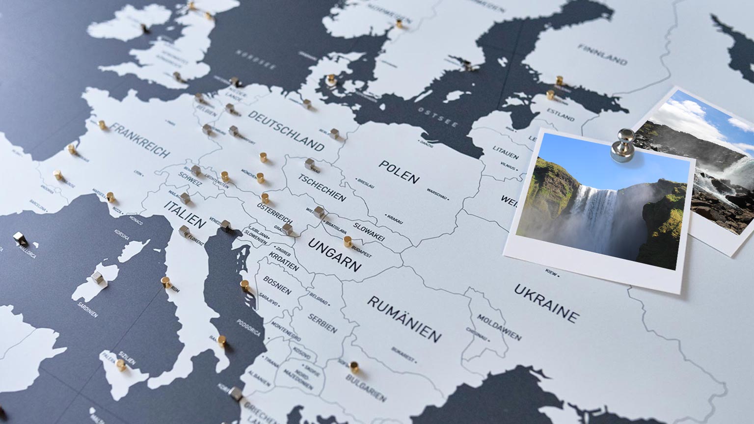 Regenwälder in Europa – und wo sie zu finden sind