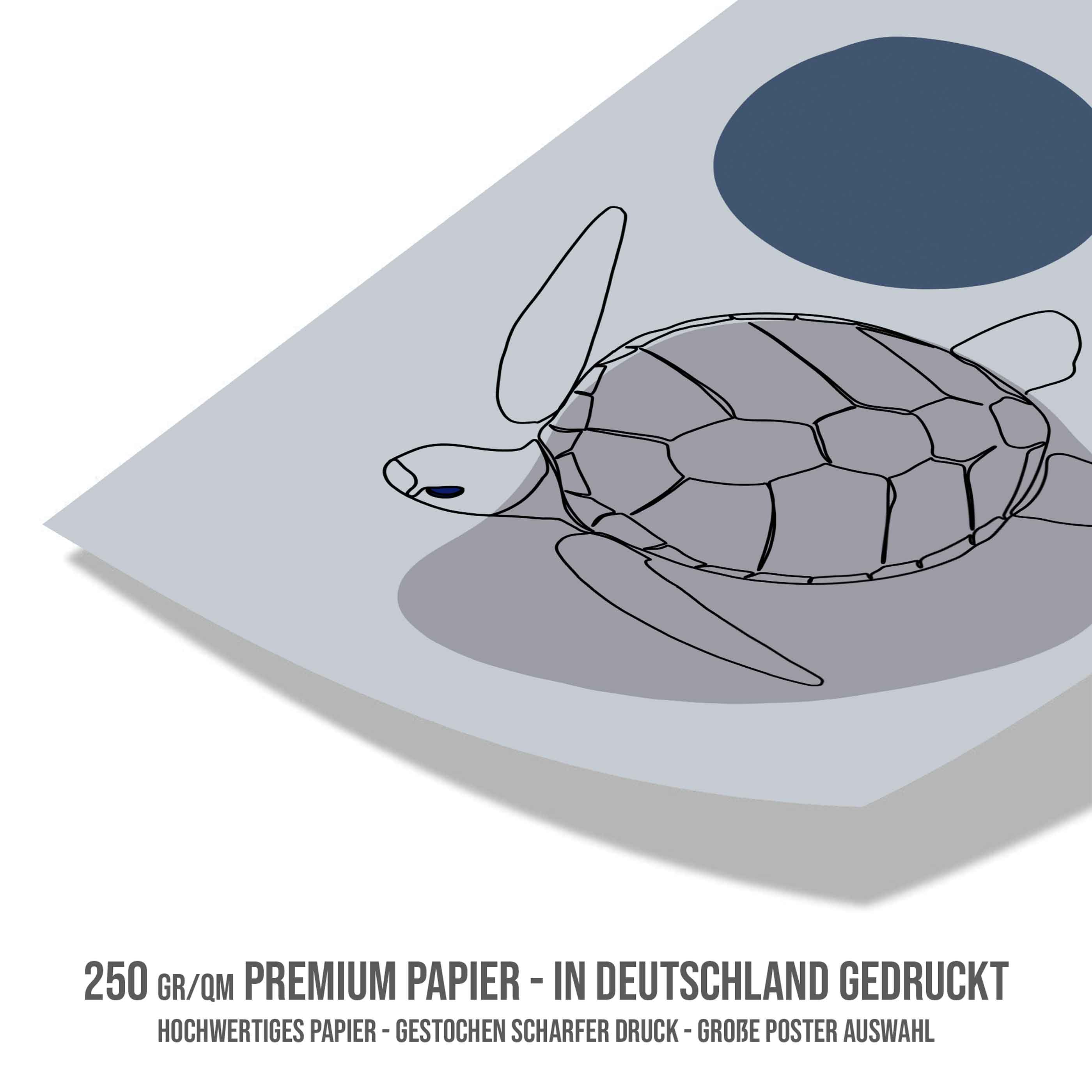 Poster Ozean Meeresschildkröte Line Art
