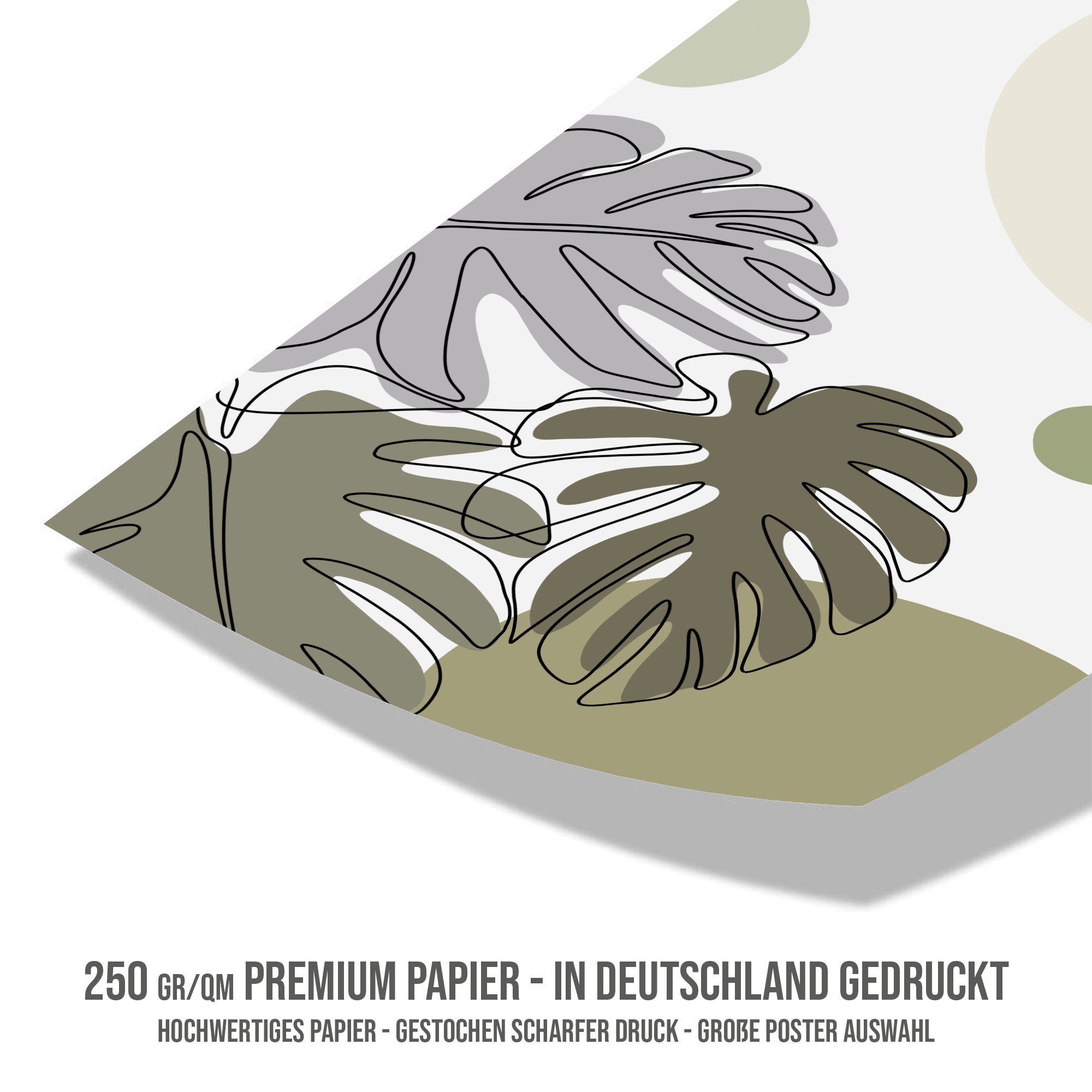 Poster Botanik Monstera No 2 Line Art